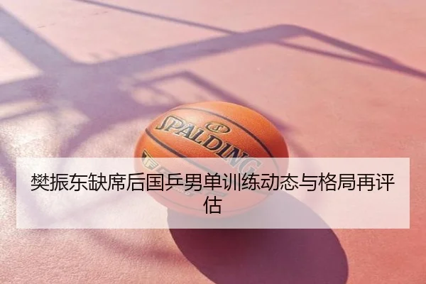 樊振东缺席后国乒男单训练动态与格局再评估